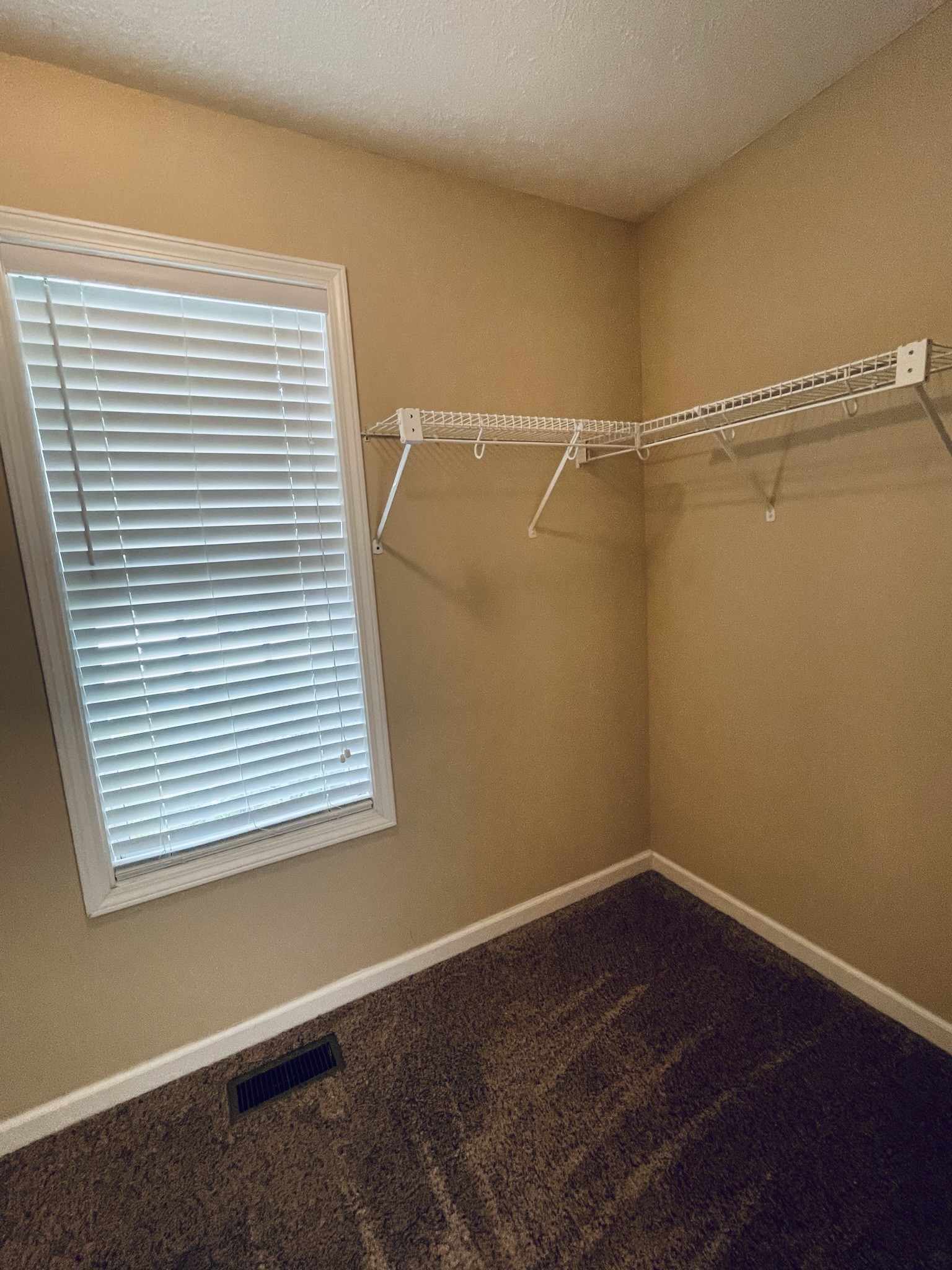 113 Foxrun Springfield, TN 37172 - Photo 19 of 45 Gallery Image 19