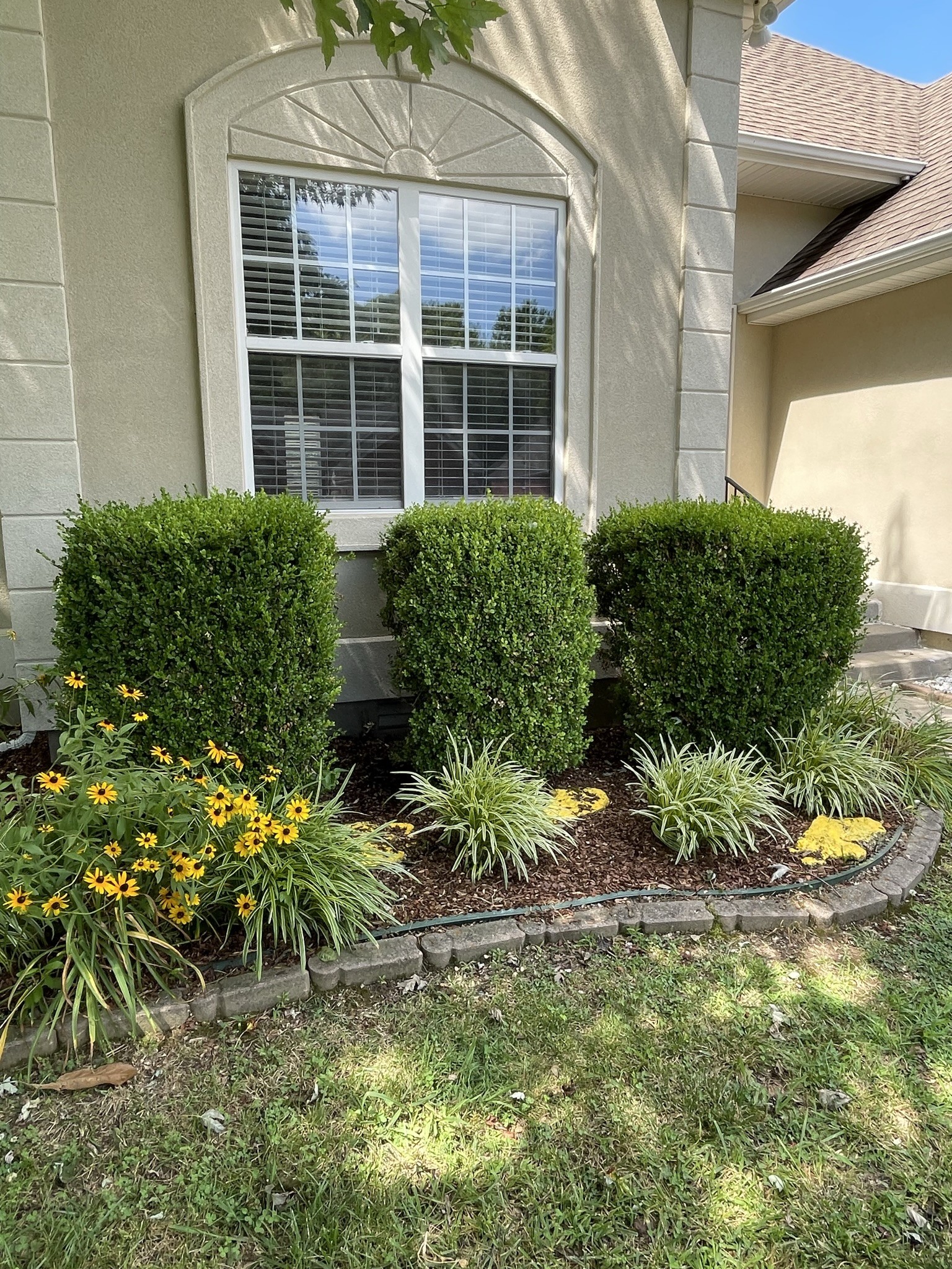 113 Foxrun Springfield, TN 37172 - Photo 43 of 45 Gallery Image 43
