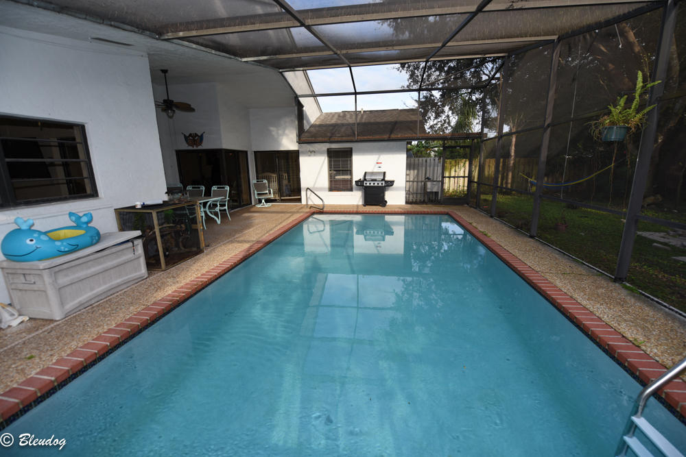 21309 Summertrace Circle Boca Raton, FL 33428 - Photo 18 of 21 Pool View