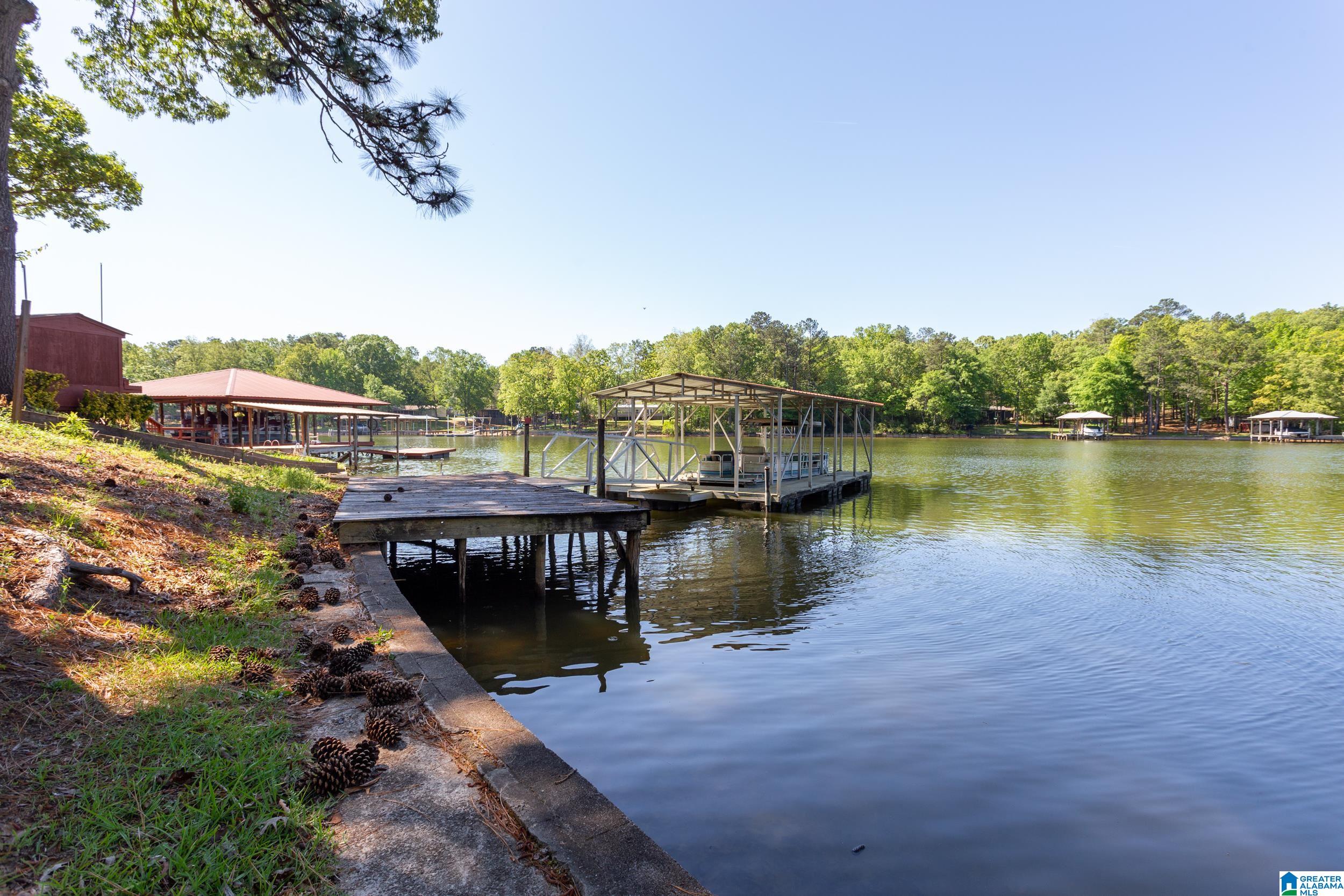 524 Coosa Island Road Cropwell, AL 35054 - Photo 38 of 39