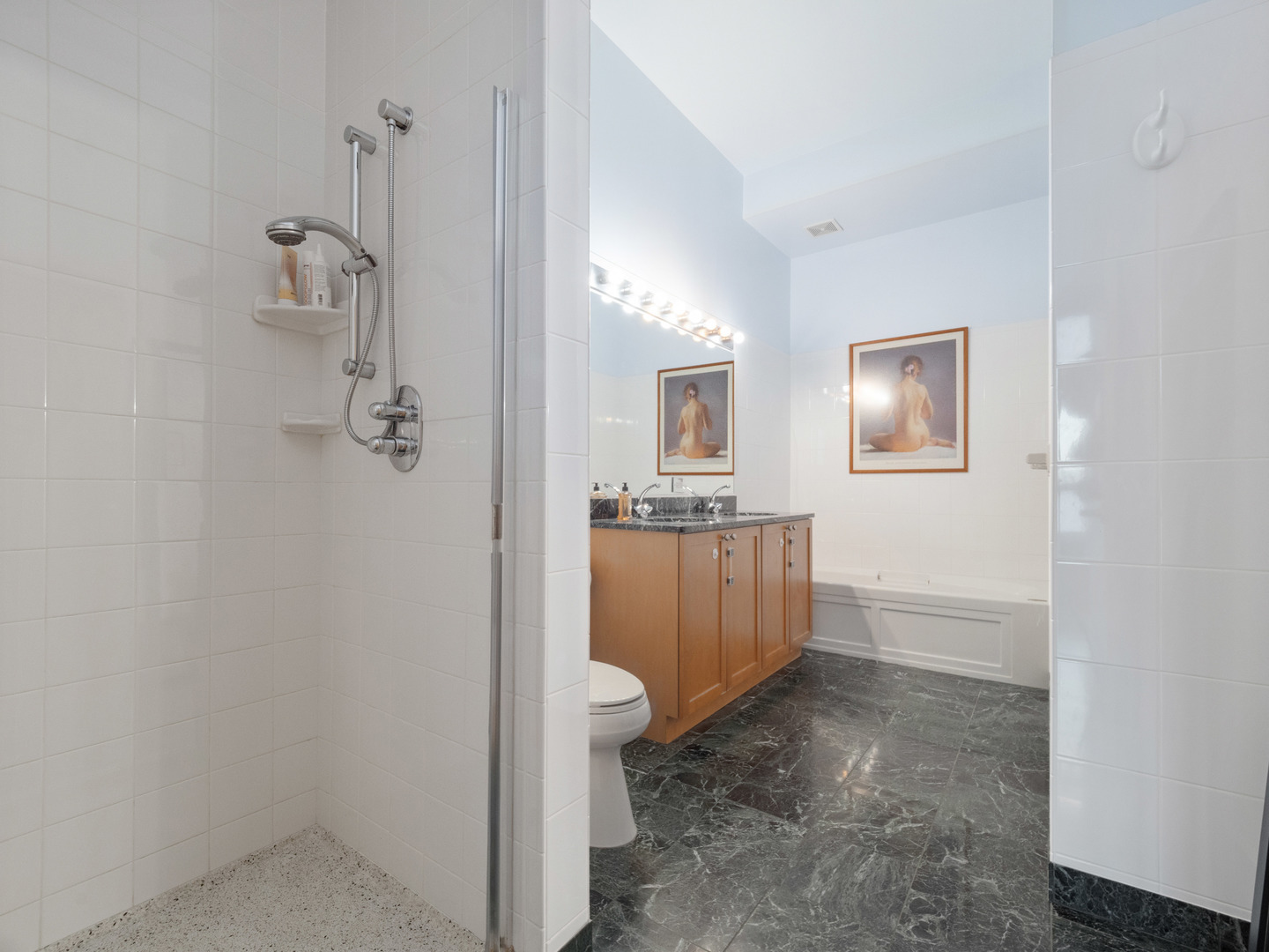 321 South Sangamon Street, Unit 905 Chicago, IL 60607 - Photo 24 of 36 a bathroom with a sink a toilet and shower
