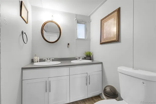 a bathroom with a toilet a sink and mirror