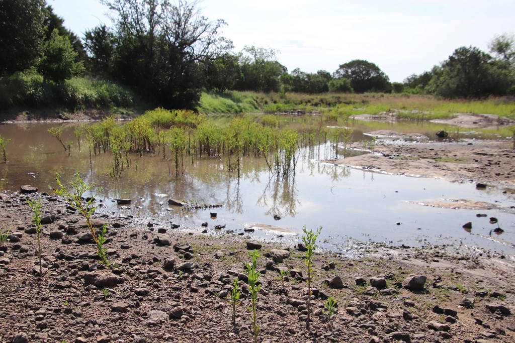 93 J S Murry Ranch Road Del Rio, TX 78840 - Photo 11 of 36 a view of a lake with a lake