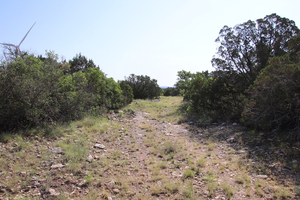 93 J S Murry Ranch Road Del Rio, TX 78840 - Photo 25 of 36 a view of a dry yard with trees