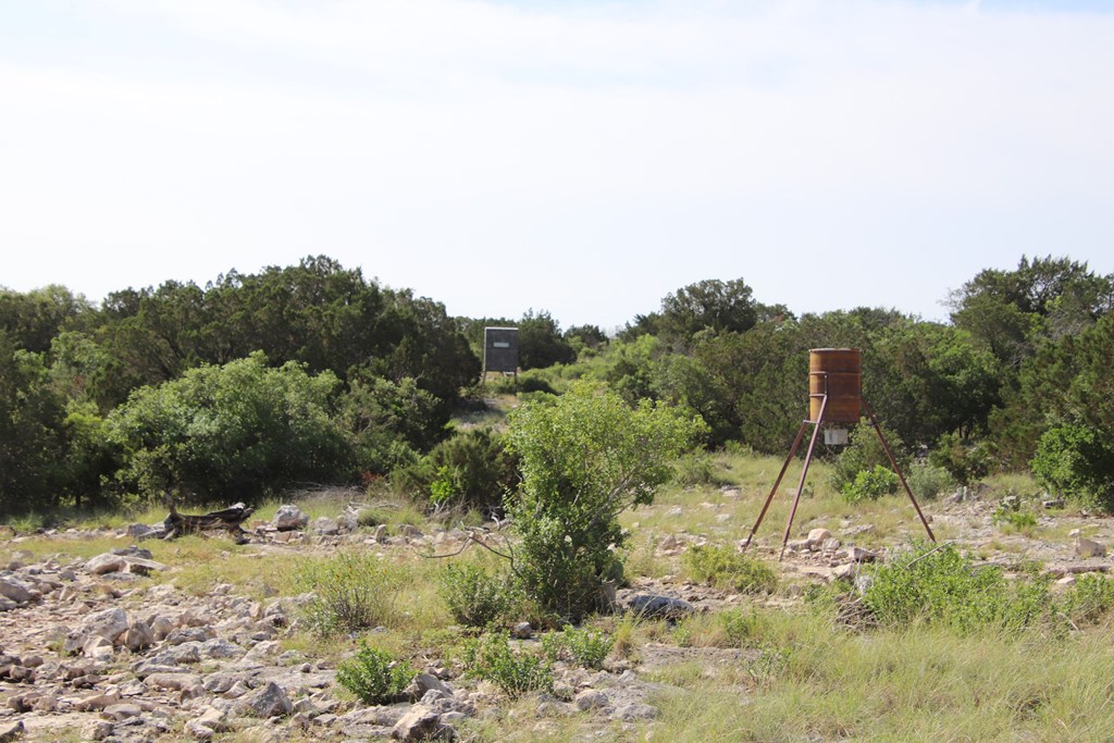 93 J S Murry Ranch Road Del Rio, TX 78840 - Photo 27 of 36 a backyard of a house with a yard