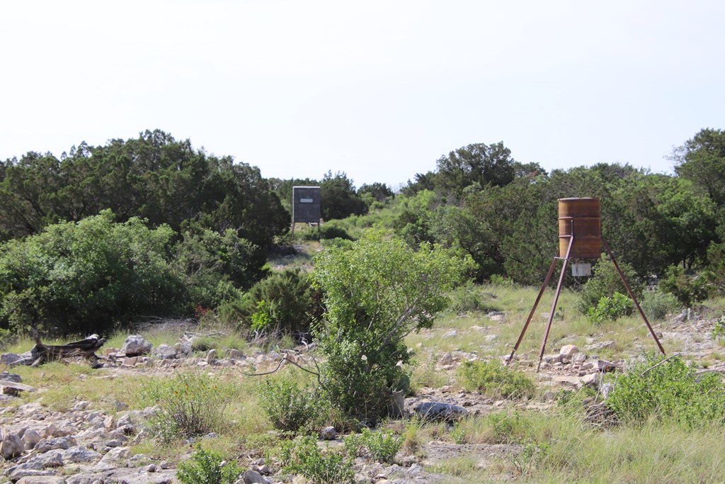 93 J S Murry Ranch Road Del Rio, TX 78840 - Photo 29 of 36 a view of a forest filled with trees
