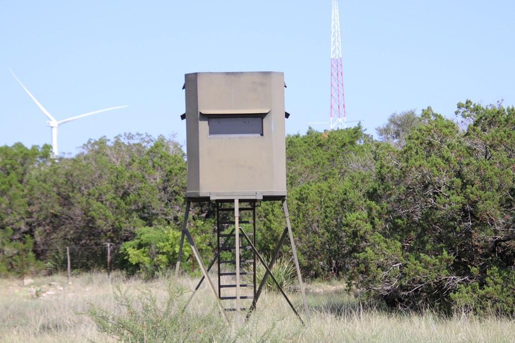 93 J S Murry Ranch Road Del Rio, TX 78840 - Photo 30 of 36 a table and chairs sitting in a backyard of a house