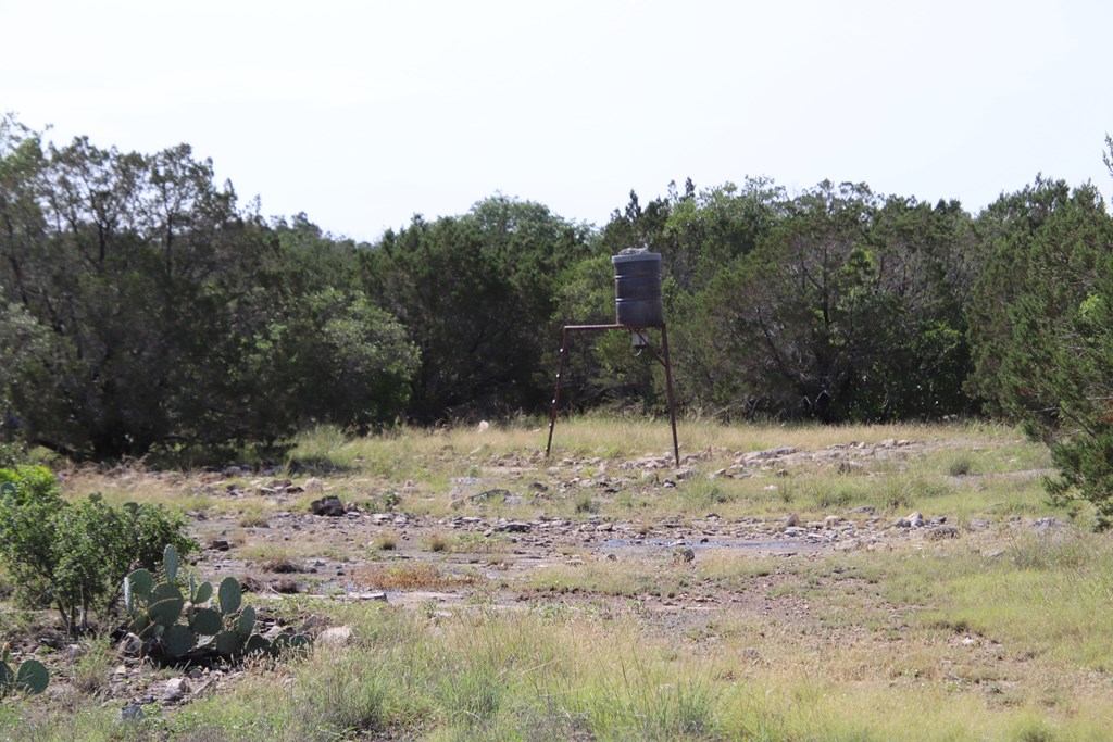 93 J S Murry Ranch Road Del Rio, TX 78840 - Photo 32 of 36 a view of a dry yard with trees
