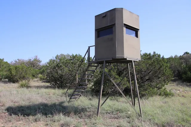 a view of outdoor space