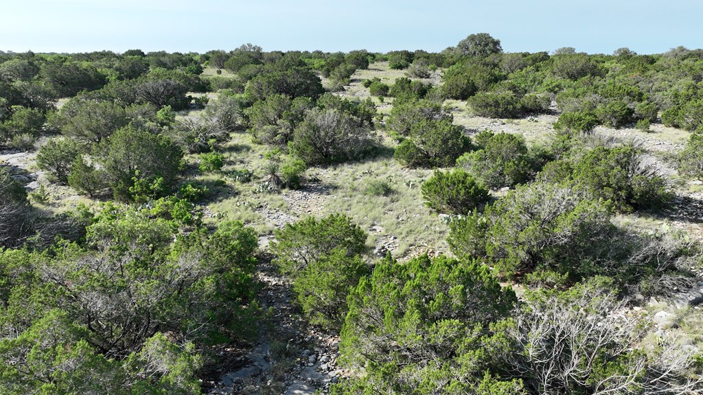 93 J S Murry Ranch Road Del Rio, TX 78840 - Photo 4 of 36 an aerial view of a house with a lush green forest