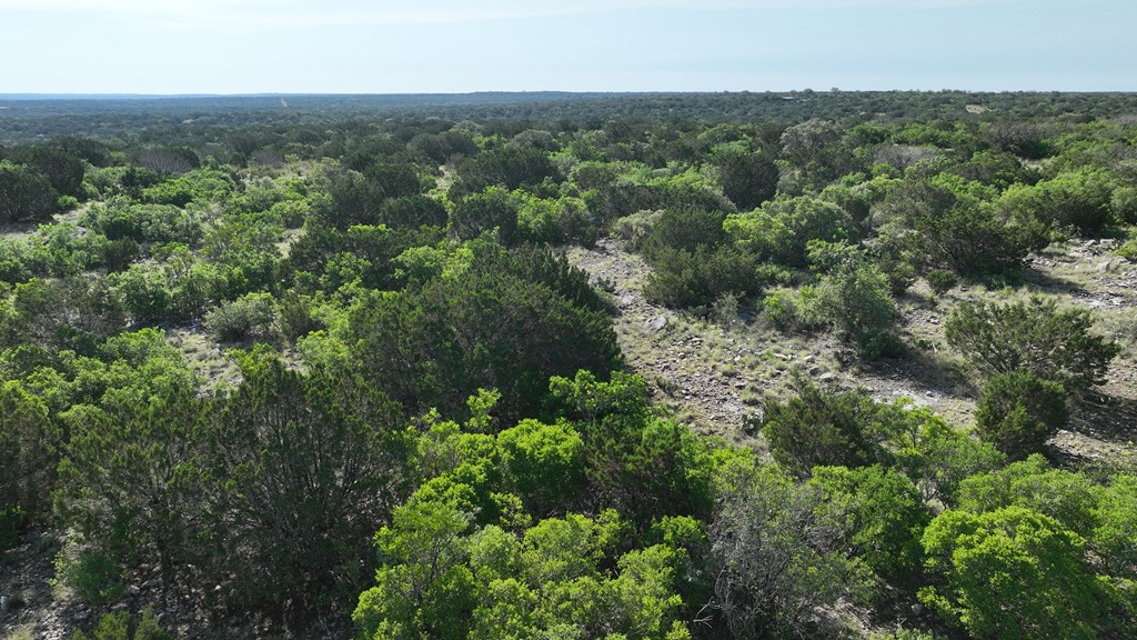 93 J S Murry Ranch Road Del Rio, TX 78840 - Photo 5 of 36 an aerial view of forest