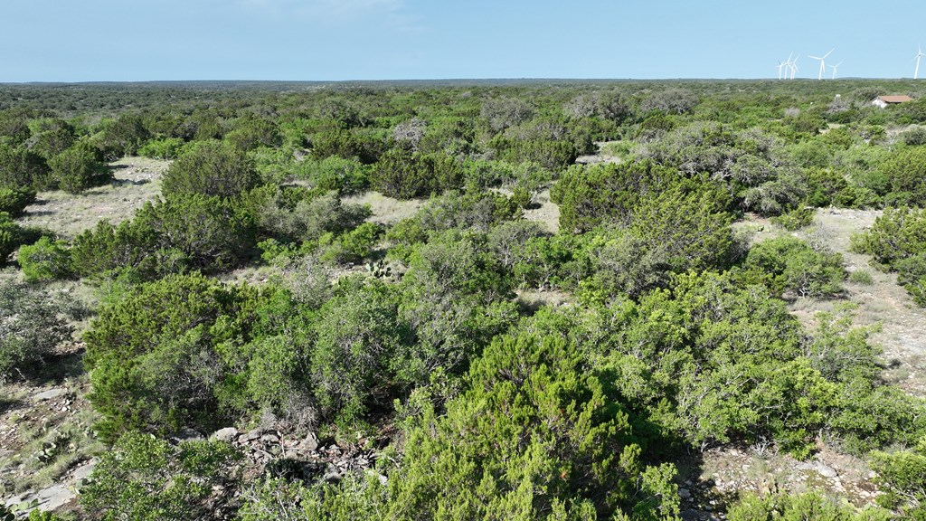 93 J S Murry Ranch Road Del Rio, TX 78840 - Photo 6 of 36 an aerial view of residential houses with outdoor space and trees