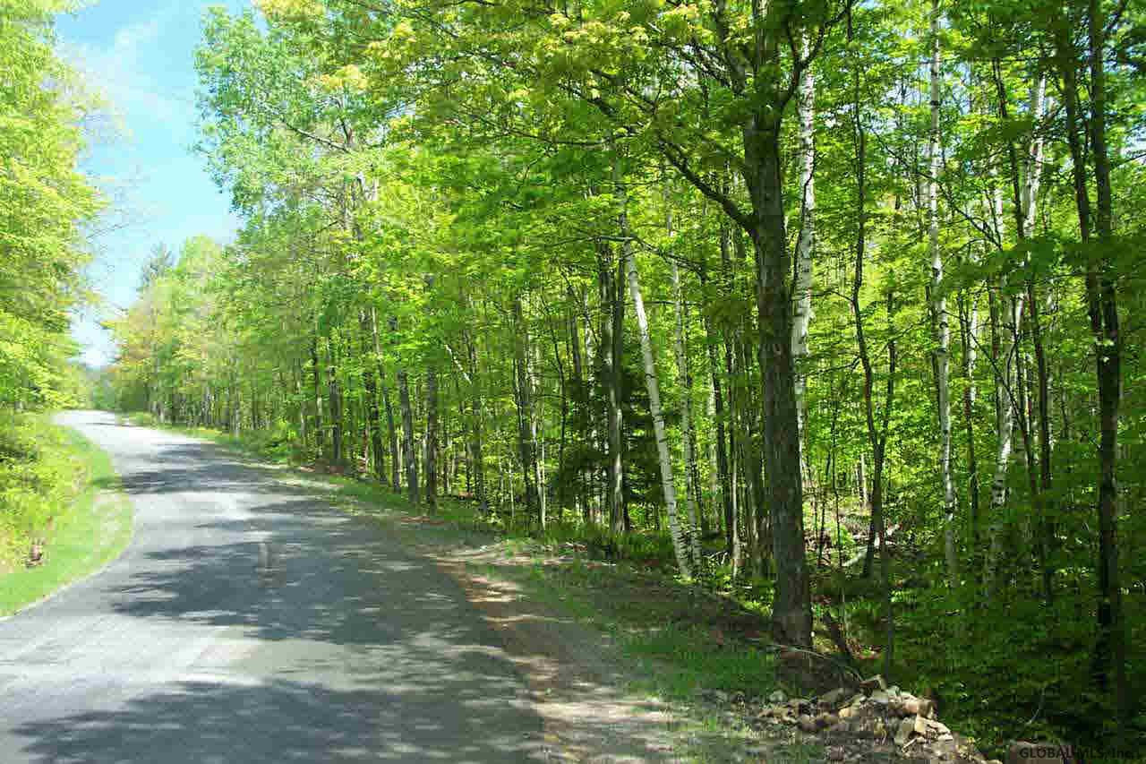 Cross Road Clemons, NY 12819 - Photo 1 of 1 Photo 1