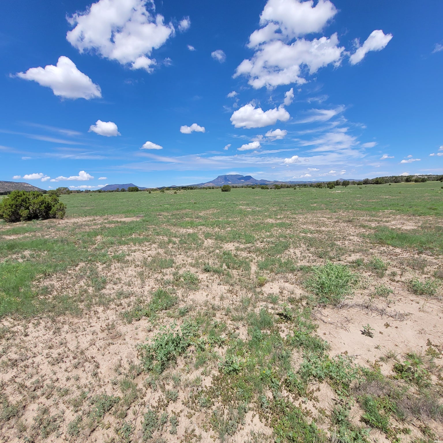 1 Frontier Trail, Unit 17 18 Datil, NM 87821 - Photo 22 of 30 Gallery Image 22