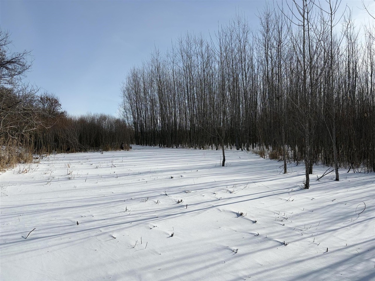V/l Cade Road Capac, MI 48014 - Photo 37 of 51