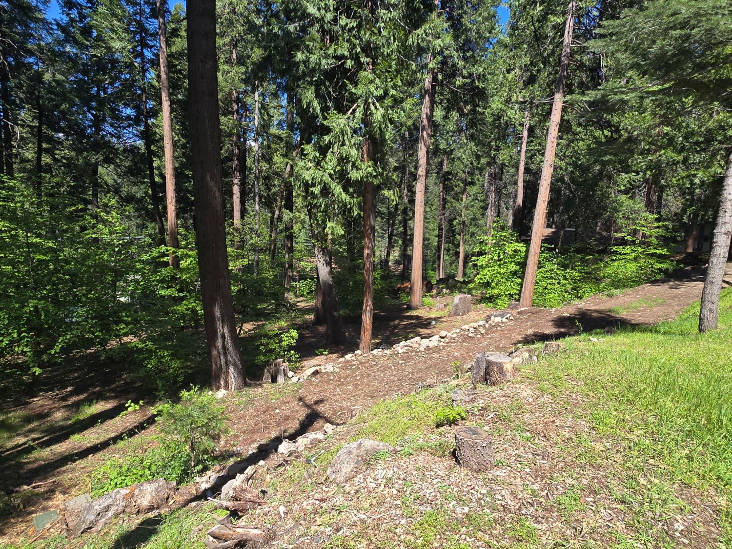 6771 Onyx Trail Pollock Pines, CA 95726 - Photo 1 of 9