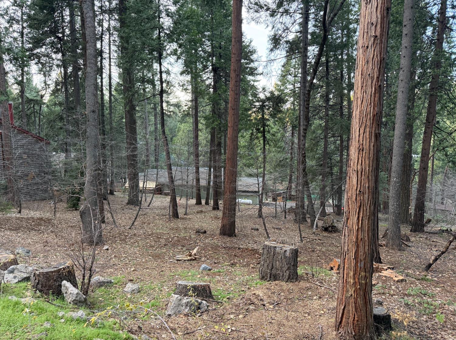 6771 Onyx Trail Pollock Pines, CA 95726 - Photo 2 of 9