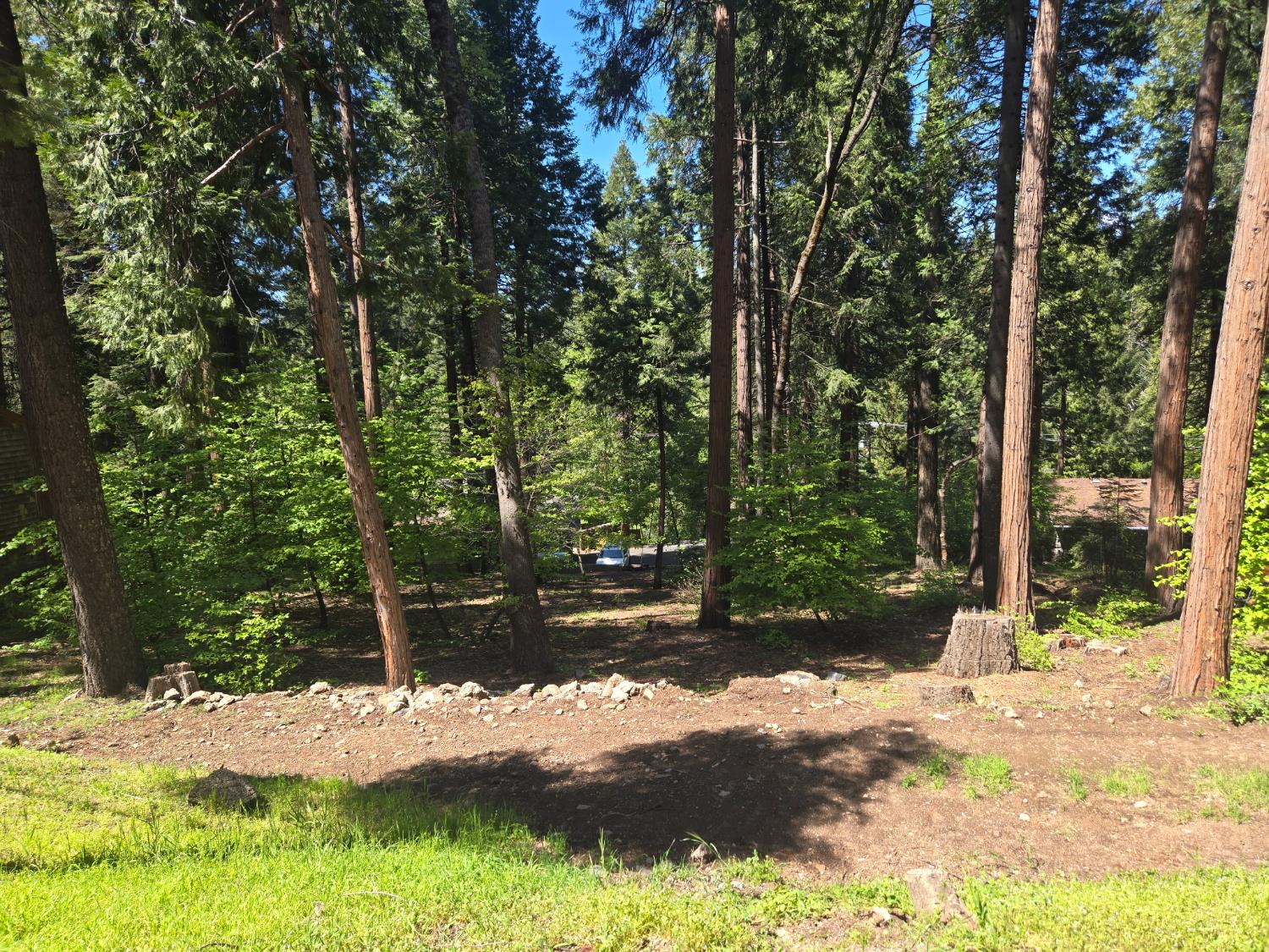 6771 Onyx Trail Pollock Pines, CA 95726 - Photo 3 of 9