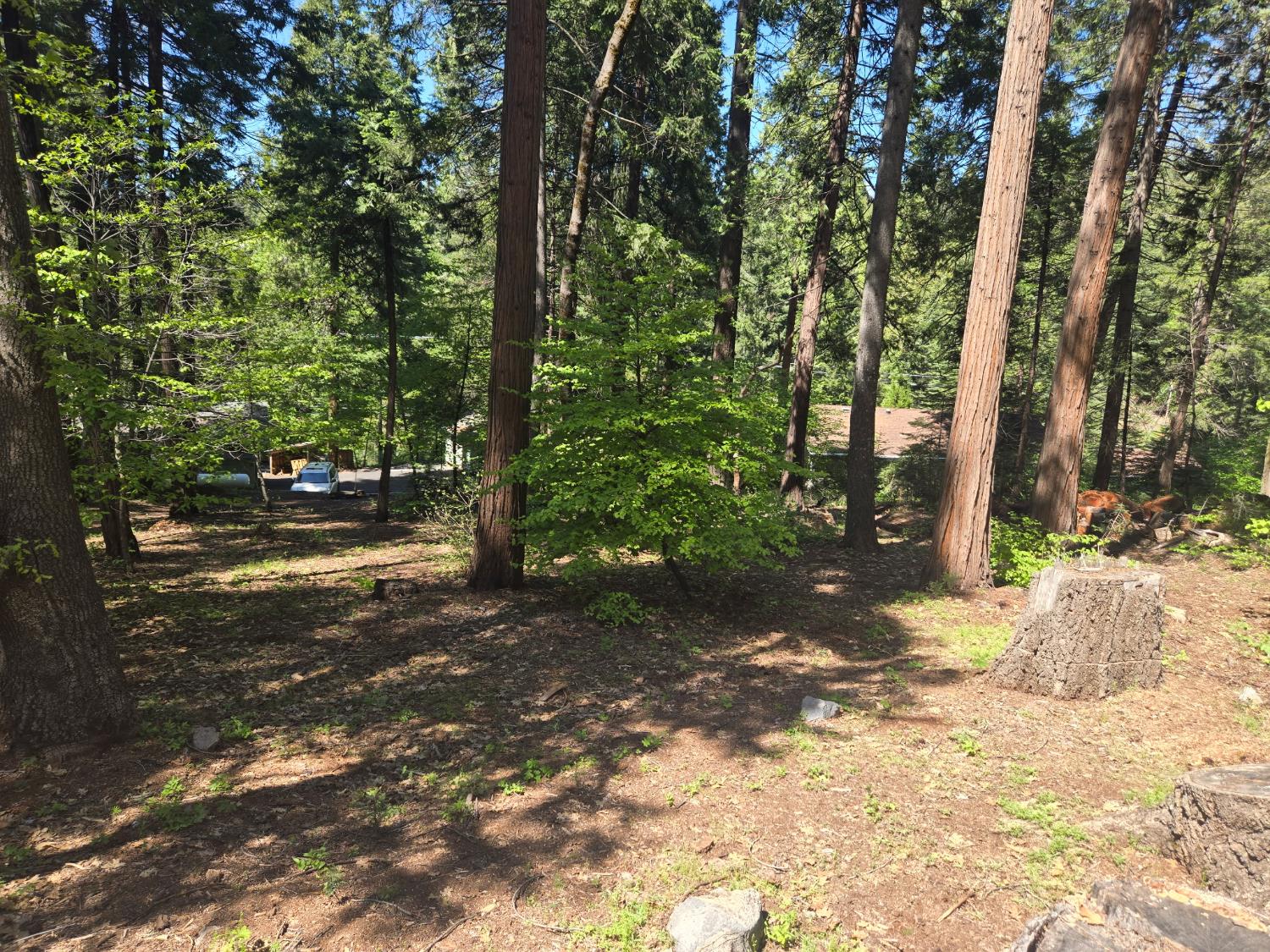 6771 Onyx Trail Pollock Pines, CA 95726 - Photo 4 of 9