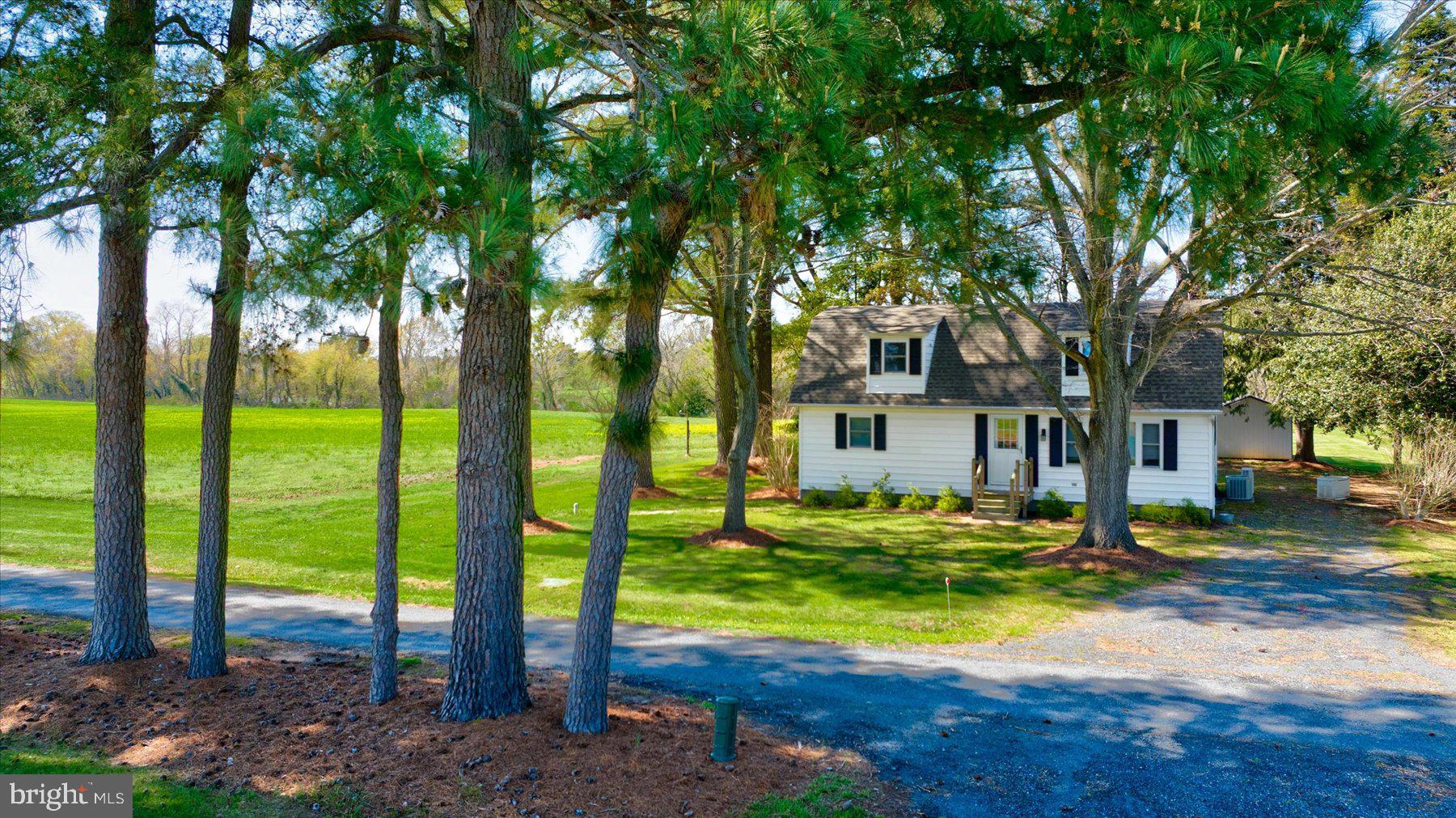 29031 Howell Point Road Trappe, MD 21673 - Photo 77 of 129