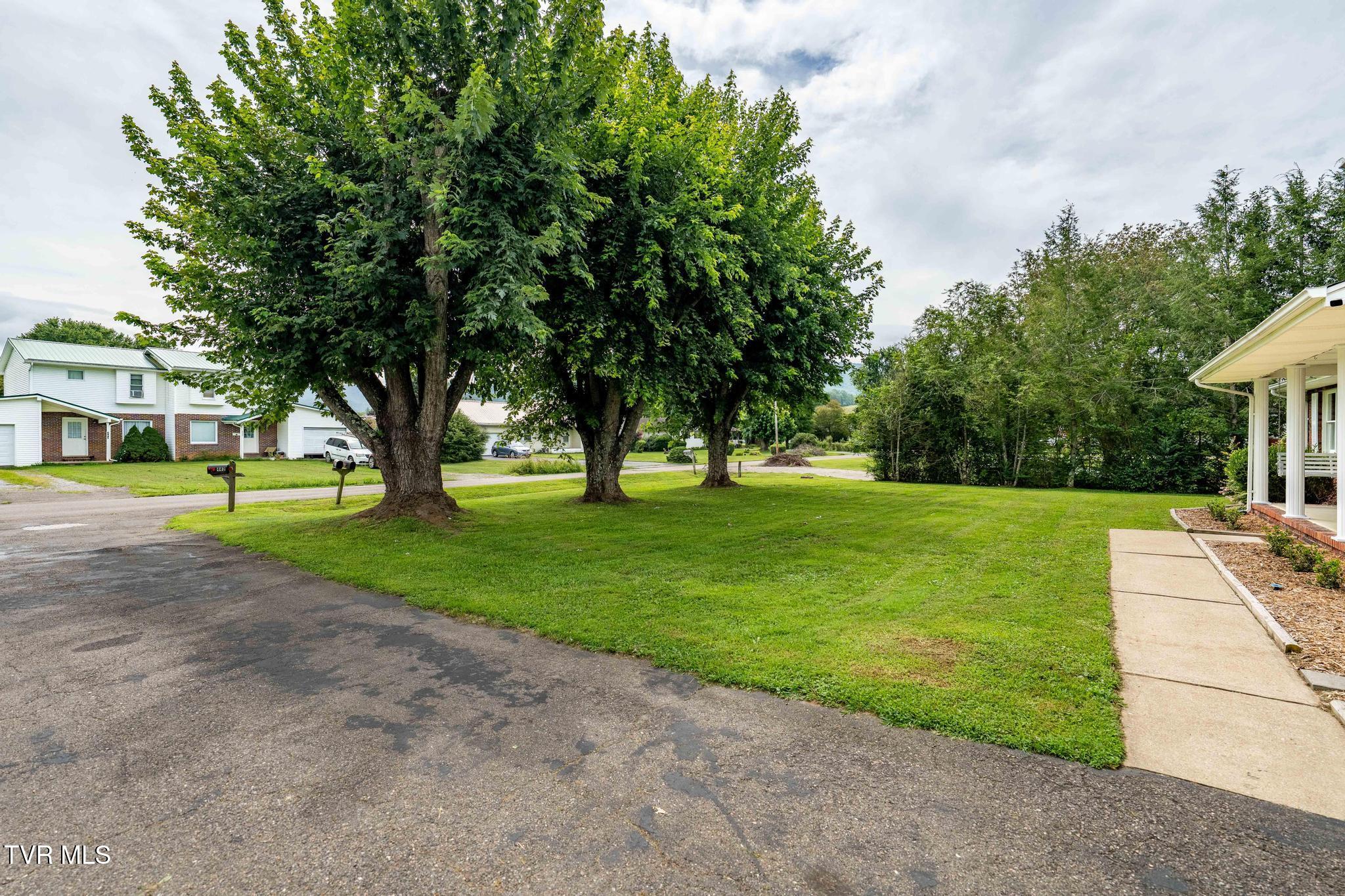 442 Adams Road Mountain City, TN 37683 - Photo 7 of 63 442 Adams Road (7 of 64)