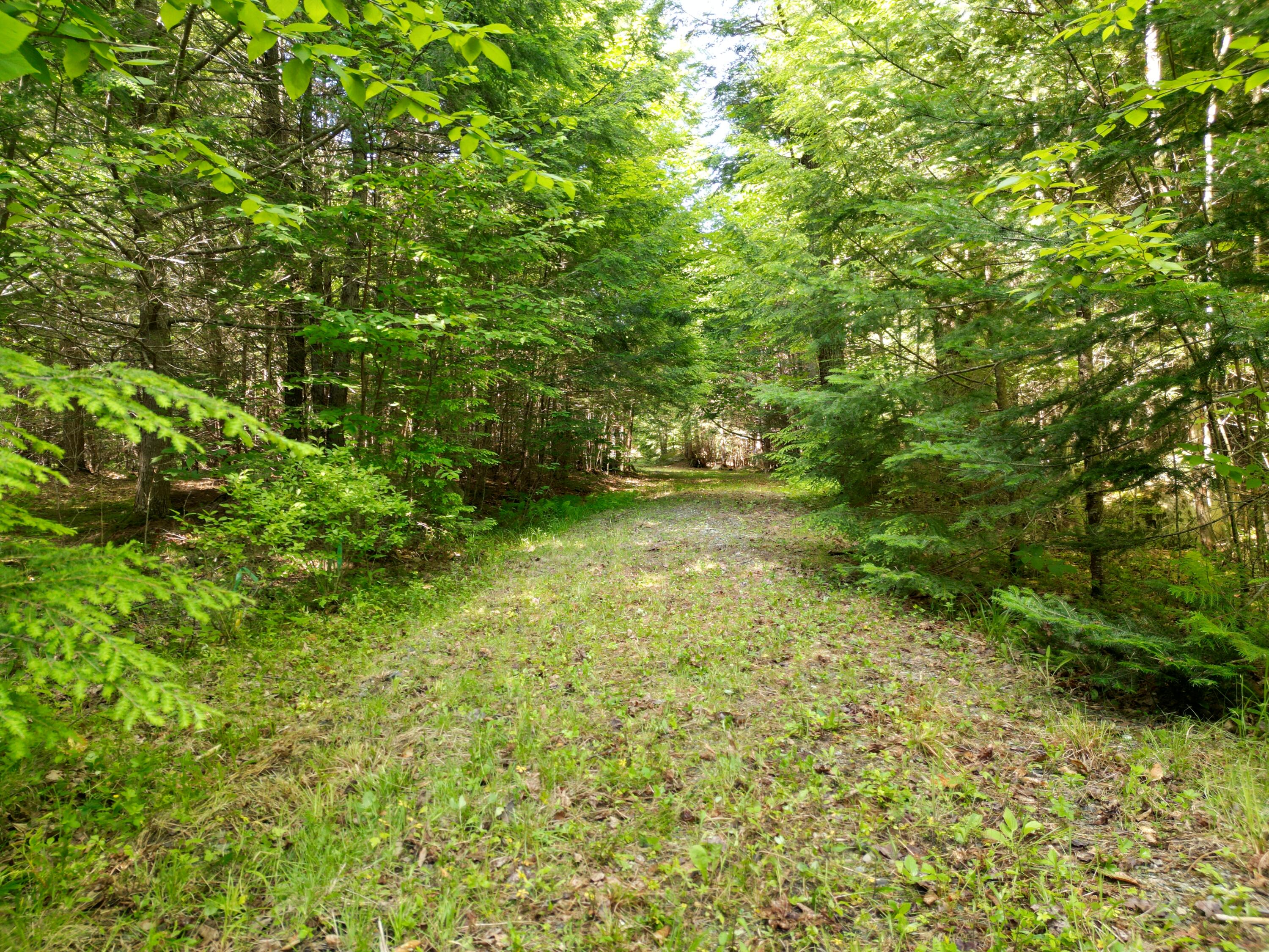 195 West Old Main Road Lowell, ME 04493 - Photo 8 of 18 DJI_0783