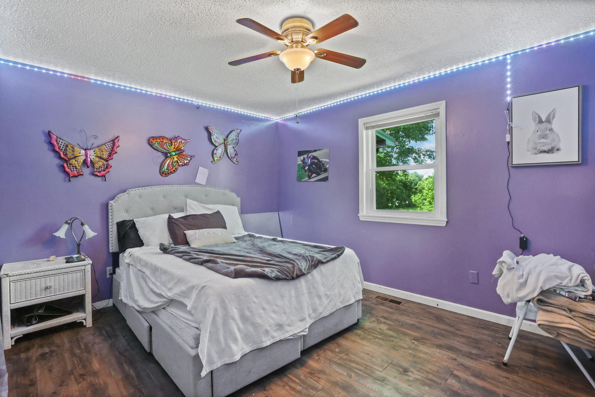 945 Jay Fanning Road Afton, TN 37616 - Photo 13 of 56 12-web-or-mls-217A1587a