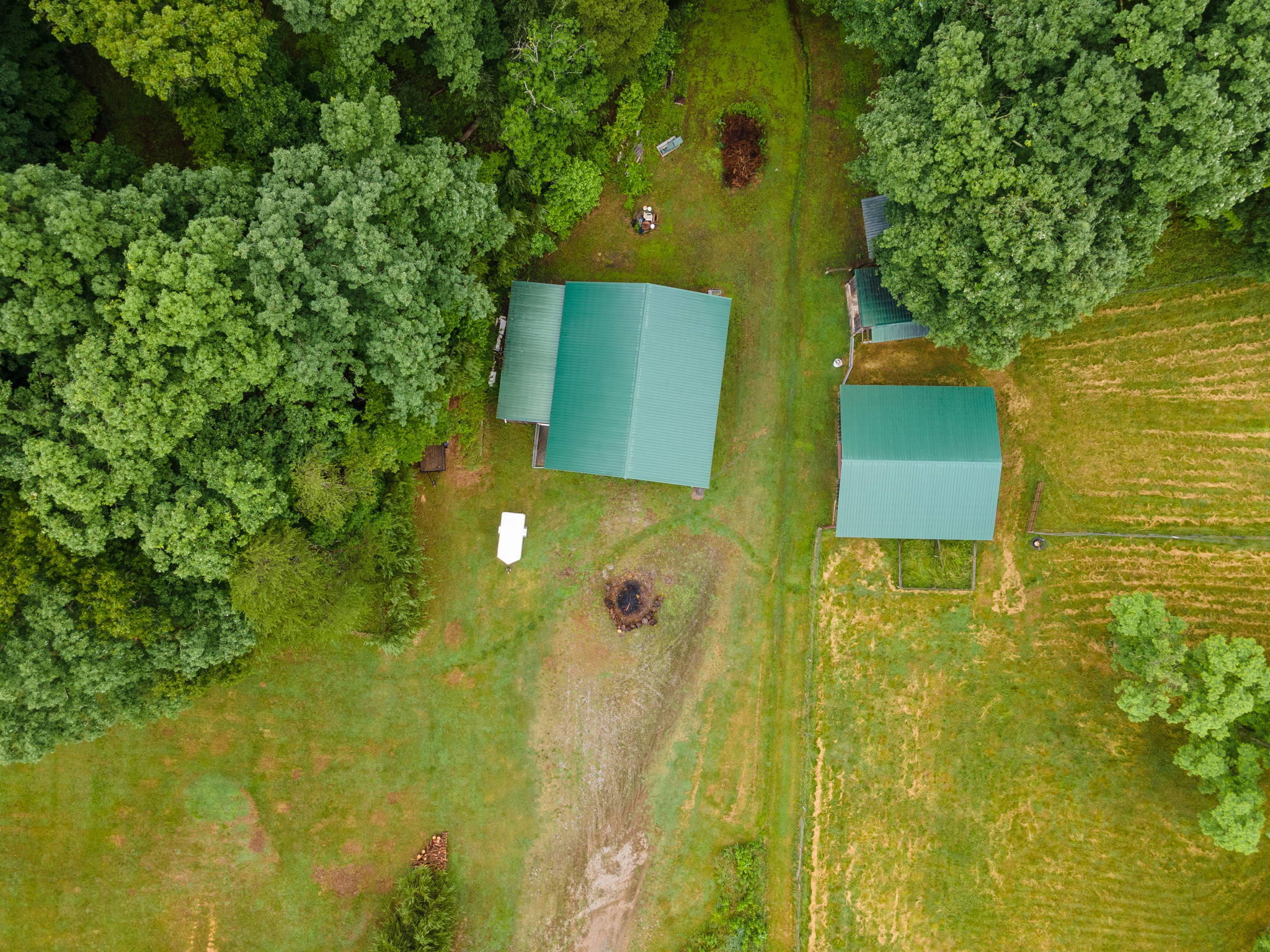 945 Jay Fanning Road Afton, TN 37616 - Photo 52 of 56 52-web-or-mls-DJI_0011