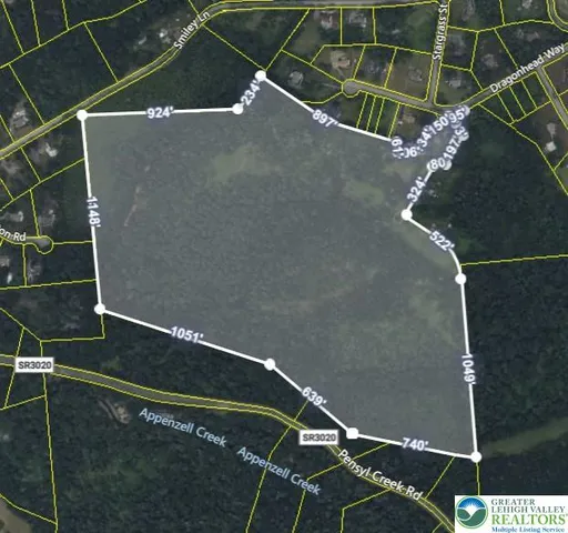 a view of a yard with trees