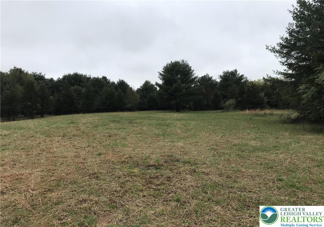 810 Dragonhead Way Stroudsburg, PA 18360 - Photo 11 of 21 a view of a field with trees in the background