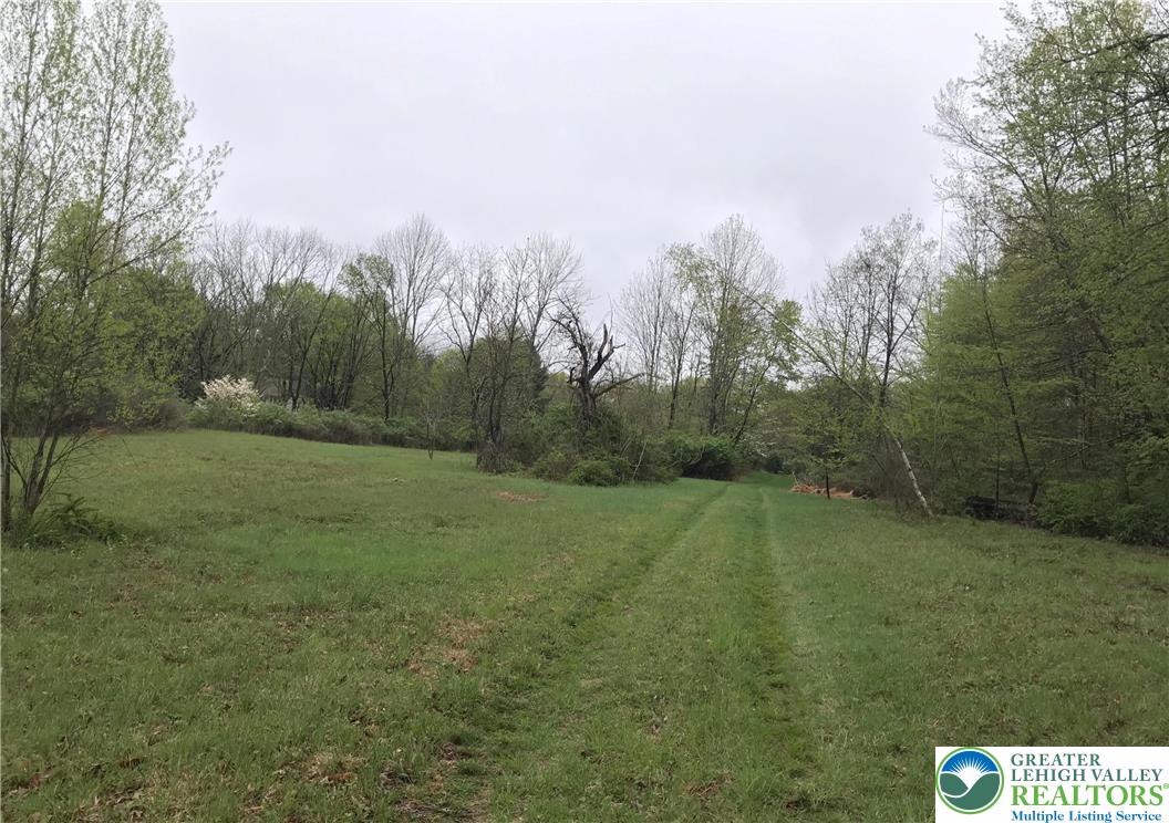 810 Dragonhead Way Stroudsburg, PA 18360 - Photo 12 of 21 a view of field with trees in background