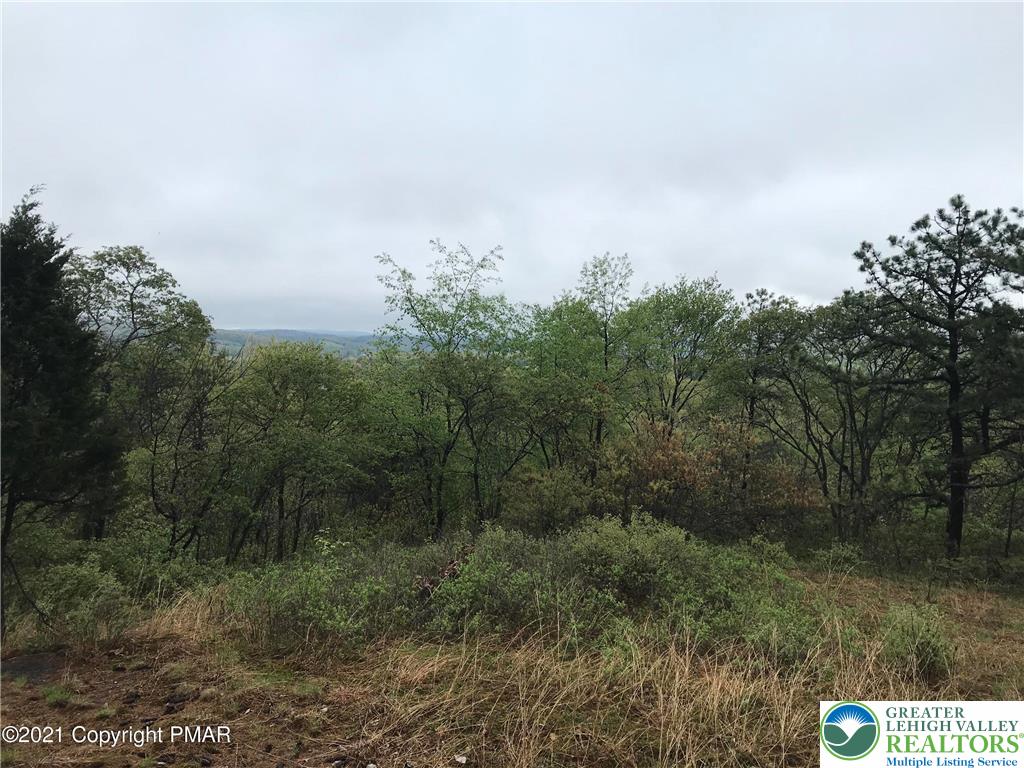 810 Dragonhead Way Stroudsburg, PA 18360 - Photo 13 of 21 a view of a field of grass and trees