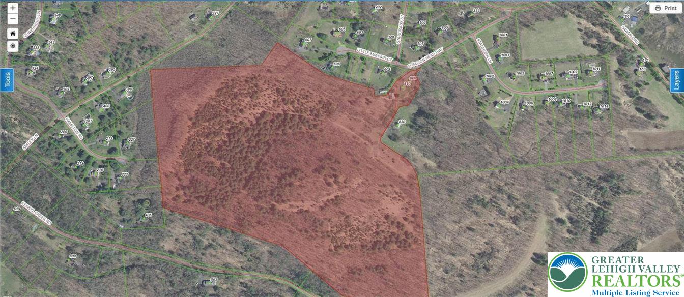 810 Dragonhead Way Stroudsburg, PA 18360 - Photo 2 of 21 a view of a yard with trees