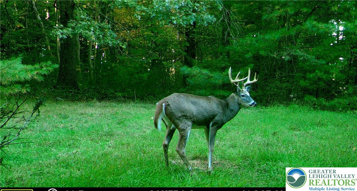 810 Dragonhead Way Stroudsburg, PA 18360 - Photo 21 of 21