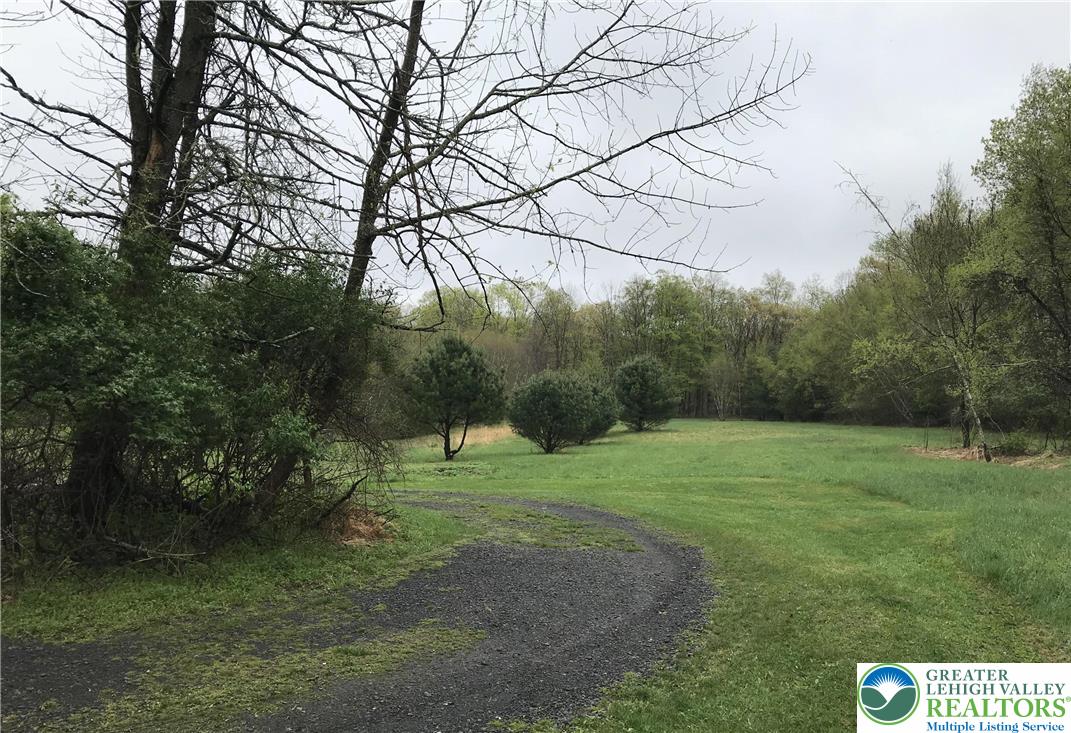 810 Dragonhead Way Stroudsburg, PA 18360 - Photo 3 of 21 a view of outdoor space with green field and trees