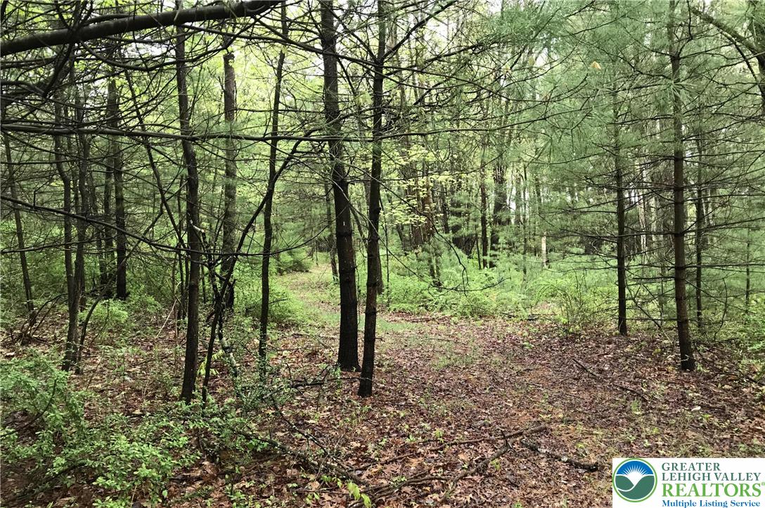 810 Dragonhead Way Stroudsburg, PA 18360 - Photo 6 of 21 a view of forest