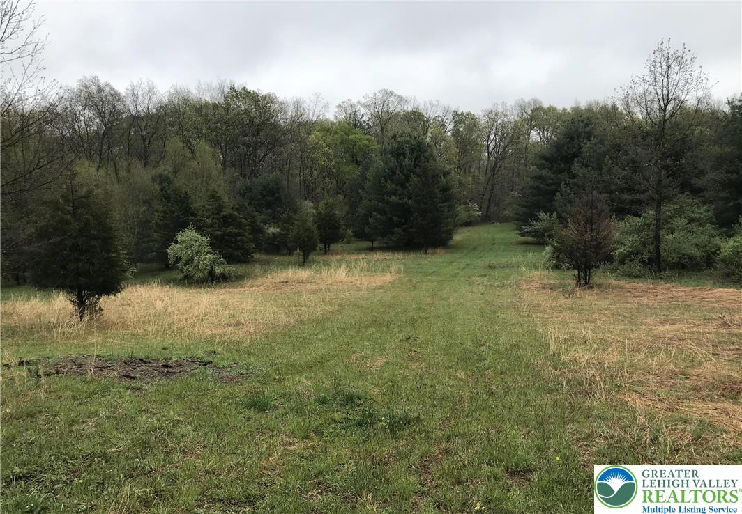 810 Dragonhead Way Stroudsburg, PA 18360 - Photo 7 of 21 a view of outdoor space and yard