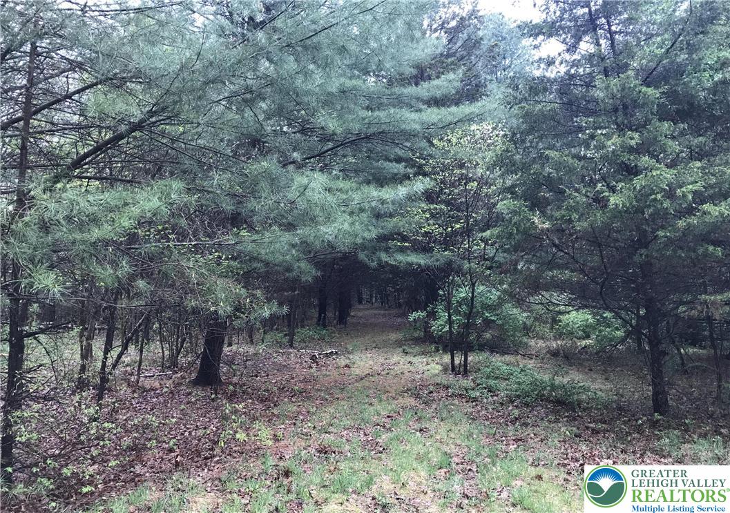 810 Dragonhead Way Stroudsburg, PA 18360 - Photo 9 of 21 a backyard of a house with lots of green space