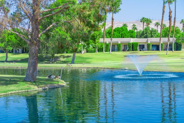 $4,200 | 29118 Desert Princess Drive, Unit 702, Cathedral City, CA 92234