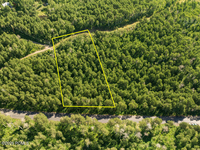 5146 North Pne Cyn Road Park City, UT 84060 - Photo 3 of 15