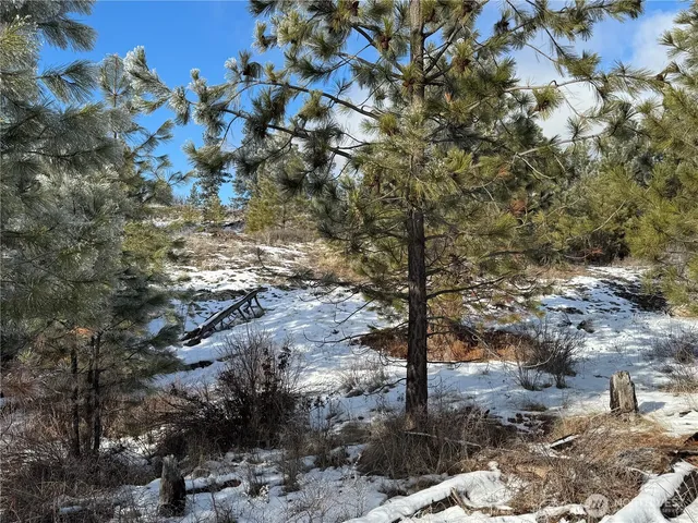 a view of outdoor space