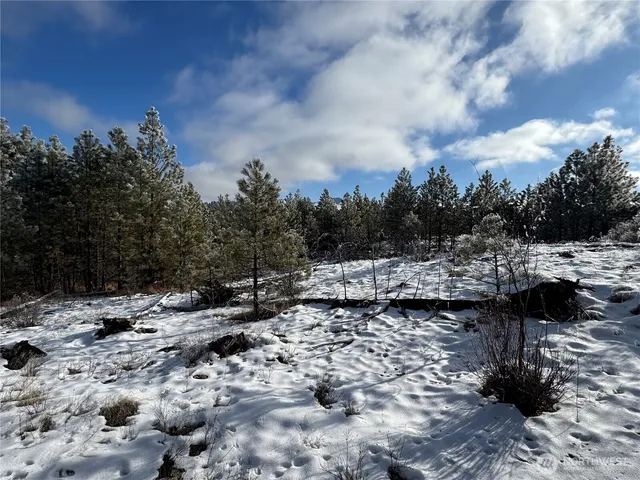 a view of a lake with mountain