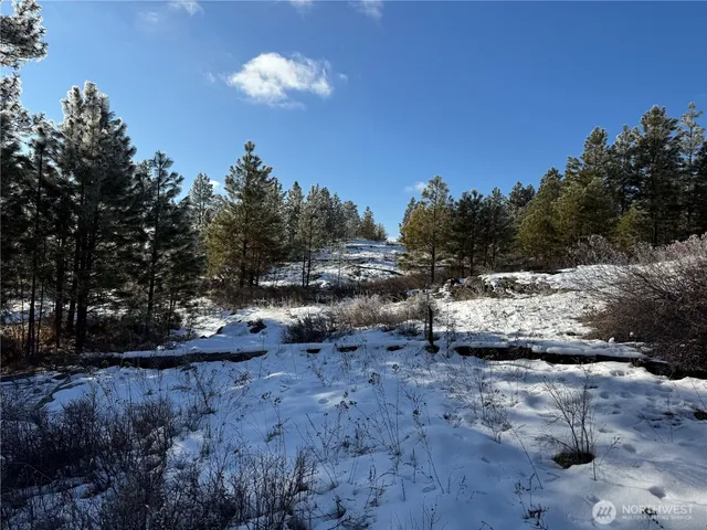 a view of outdoor space with green space
