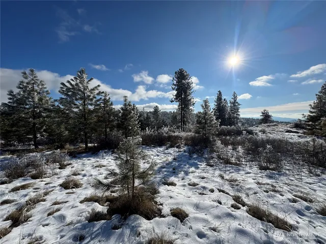 $35,000 | 0 Cartwright Drive, Unit LOT 2, Tonasket, WA 98855