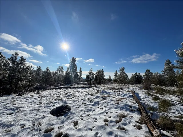 $35,000 | 0 Cartwright Drive, Unit LOT 2, Tonasket, WA 98855