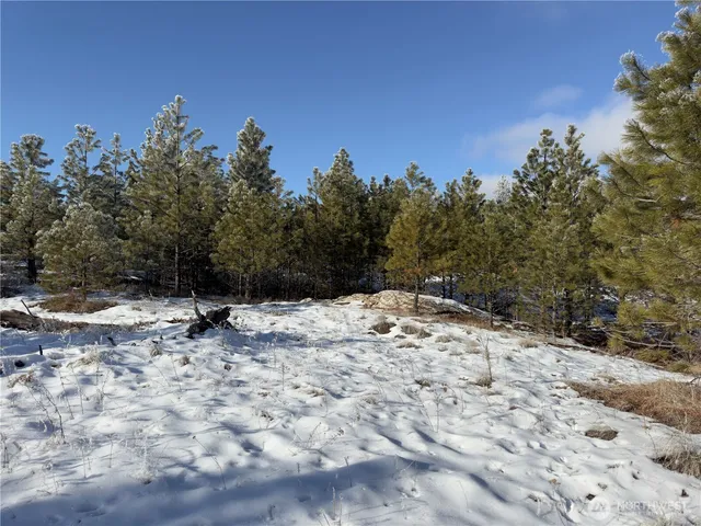 a view of a snow on the ground