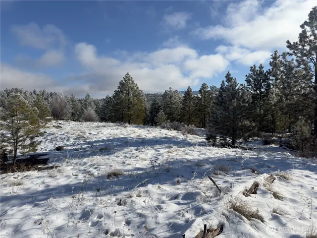 a view of a dry yard with trees in the background