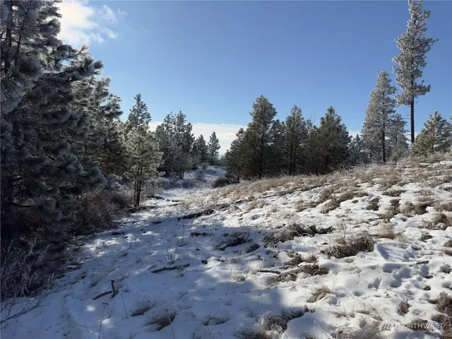 a view of a dry yard with trees in the background