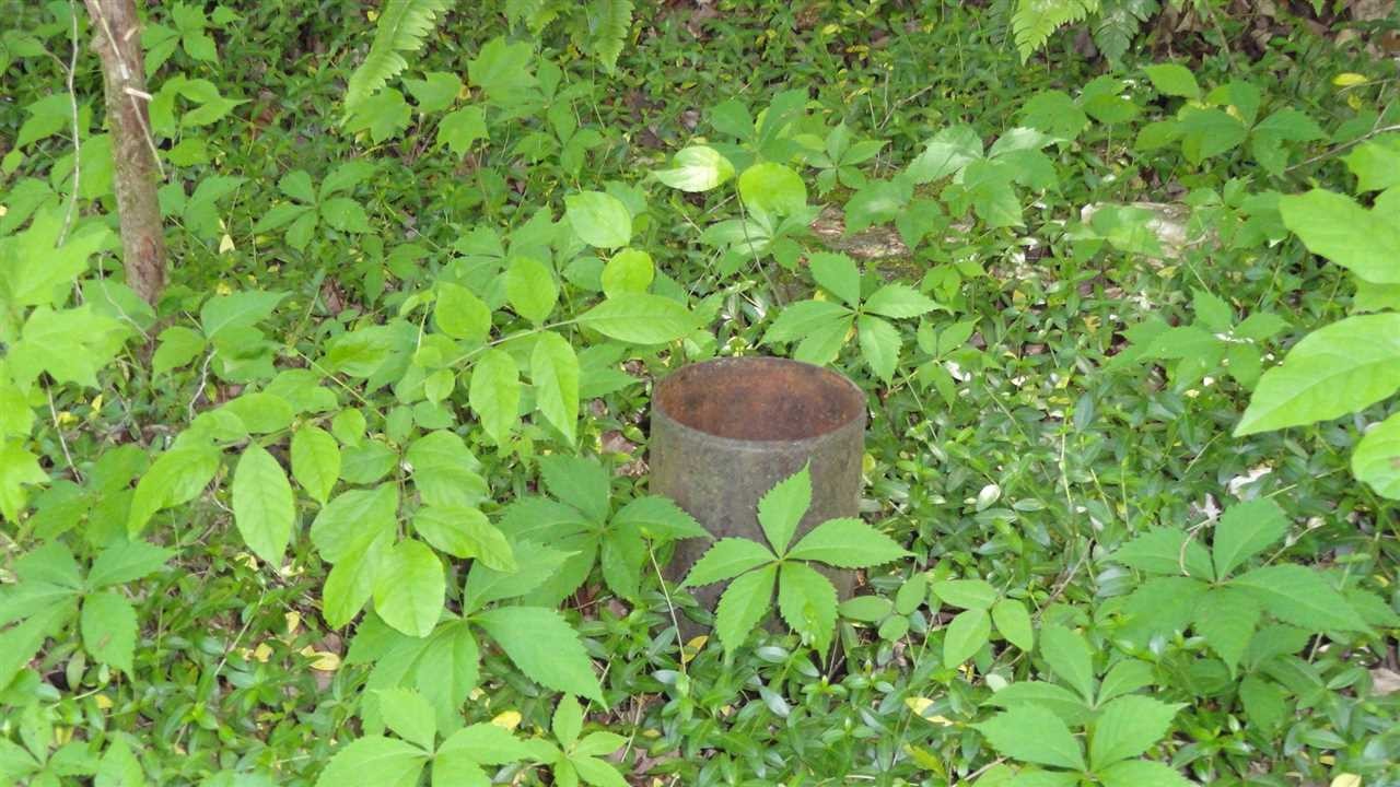 137 Daugherty Spring Road Tellico Plains, TN 37385 - Photo 18 of 24 Gallery Image 18