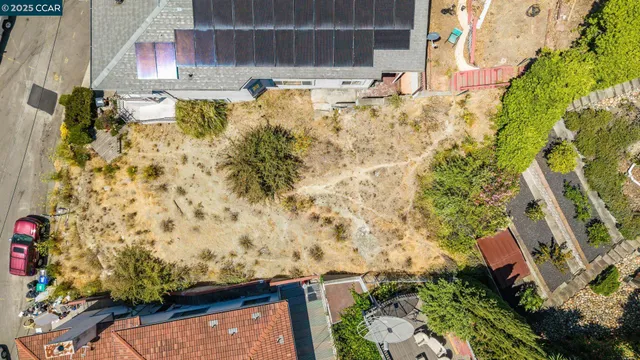 a view of a yard with plants